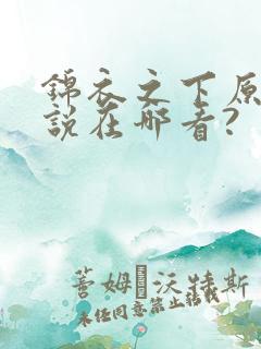 锦衣之下原著小说在哪看?