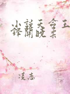 小说天命王侯金锋关晓柔