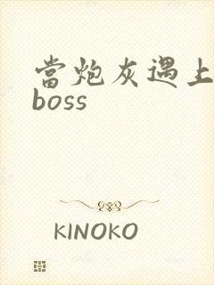 当炮灰遇上反派boss