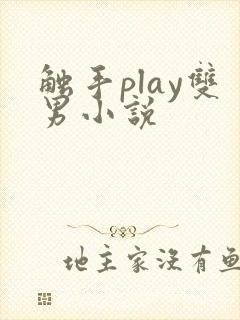 触手play双男小说