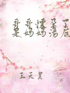 哥哥怀孕了怀的是妈妈汤底是什么小说