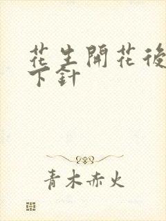 花生开花后几天下针