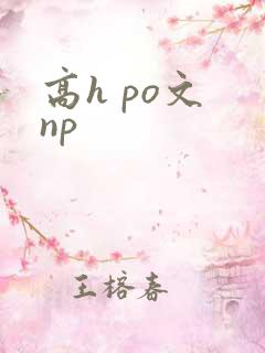 高h po文 np