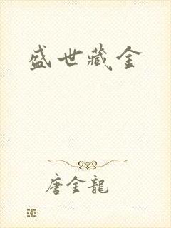 盛世藏金