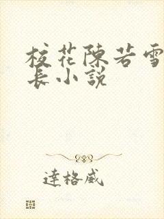 校花陈若雪与校长小说