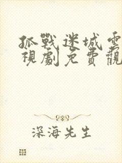 孤战迷城云播电视剧免费观看
