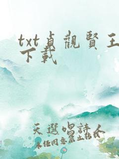 txt贞观贤王下载