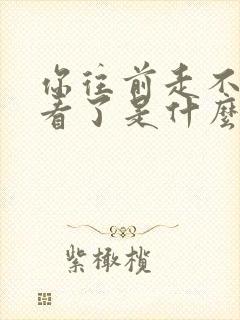 你往前走不回头看了是什么歌