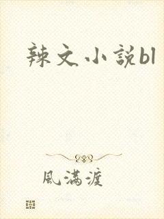 辣文小说bl