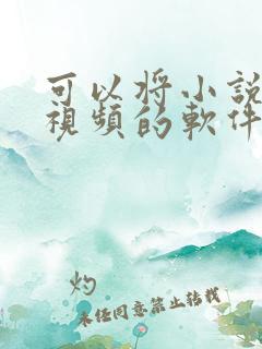 可以将小说生成视频的软件