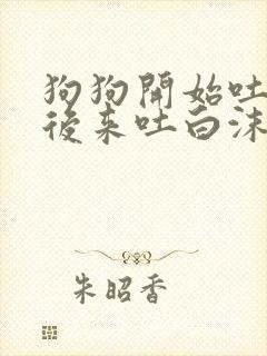 狗狗开始吐黄水后来吐白沫