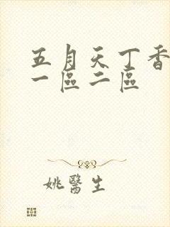 五月天丁香婷婷一区二区