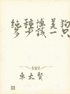 纯种博美狗价格多少钱一只