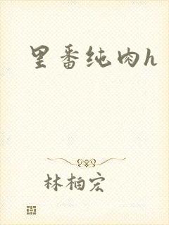 里番纯肉h