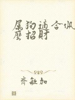 属狗适合佩戴什么招财