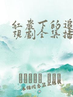 红岩下的追捕电视剧全集播放