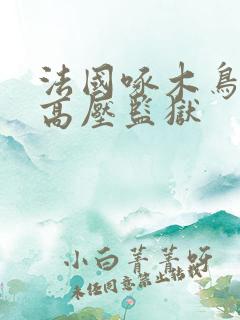 法国啄木鸟电影高压监狱
