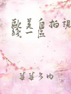 欧美自拍视频在线一区