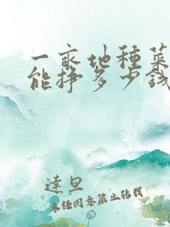 一亩地种菜一年能挣多少钱