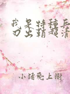 我是特种兵之利刃出鞘超清