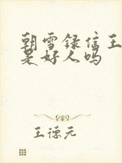 朝雪录信王世子是好人吗