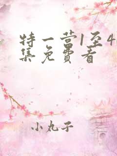 特一营1至40集免费看