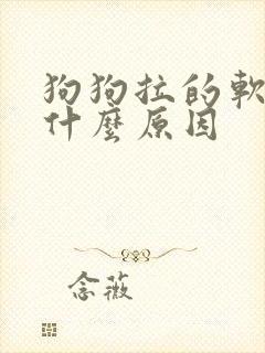 狗狗拉的软便是什么原因