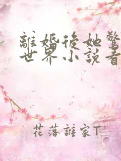 离婚后她惊艳了世界小说看