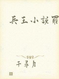 兵王小说罗铮