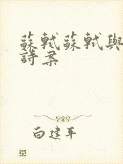 苏轼苏轼与乌台诗案