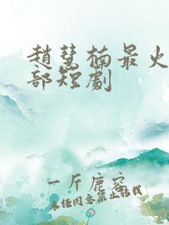 赵慧楠最火的十部短剧 赵慧楠最火的十部短剧