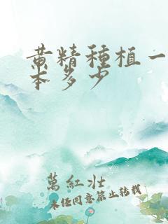黄精种植一亩成本多少