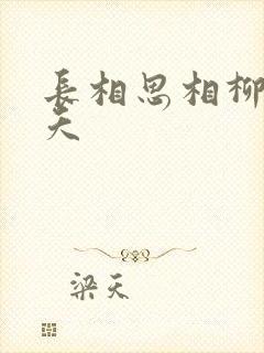 长相思相柳和小夭