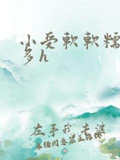 小受软软糯糯超多h