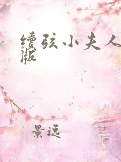 续弦小夫人完结版 续弦小夫人完结版