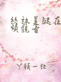 丝袜美腿在线视频观看