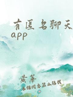 有匿名聊天交友app