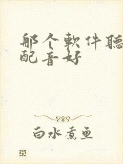 那个软件听小说配音好