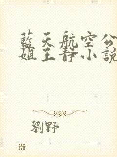 蓝天航空公司空姐王静小说