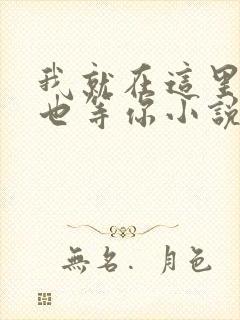 我就在这里等风也等你小说免费阅读