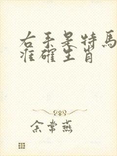 右手是特马打一准确生肖