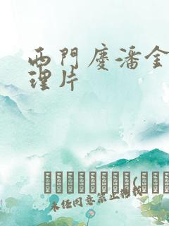 西门庆潘金莲伦理片 西门庆潘金莲伦理片