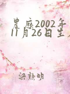 农历2002年11月26日生辰八字 农历2002年11月26日生辰八字