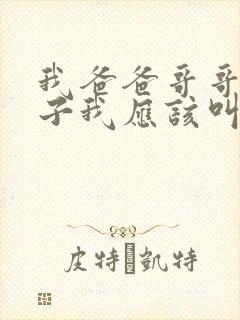 我爸爸哥哥的儿子我应该叫什么