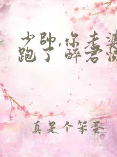 少帅,你老婆又跑了 醉君怜