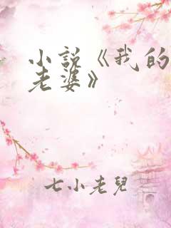 小说《我的空姐老婆》