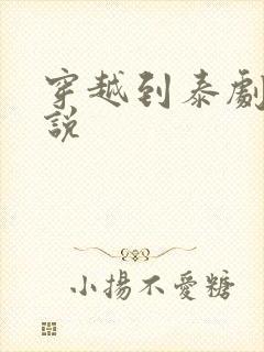 穿越到泰剧的小说