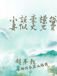 小说豪横总裁宠妻似火免费阅读