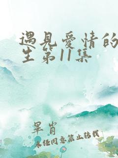 遇见爱情的利先生第11集