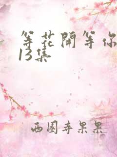 等花开等你归第13集